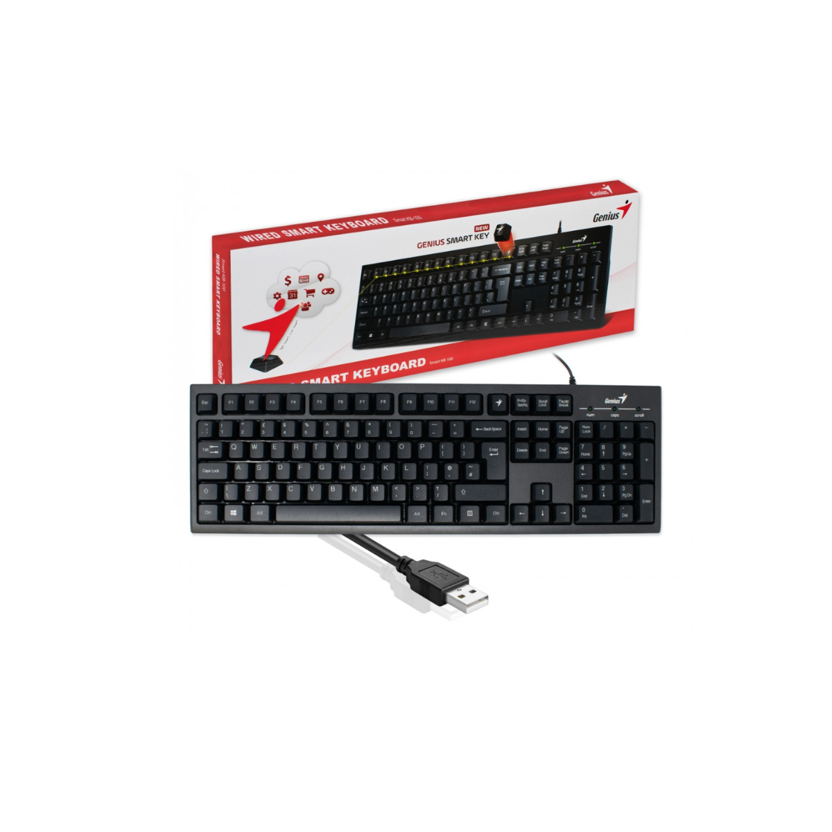Teclado Genius KB 100 USB de Tamaño Completo